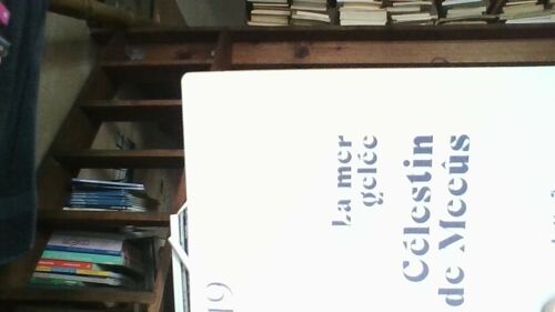 Celestin De Meeus La Mer Gelee