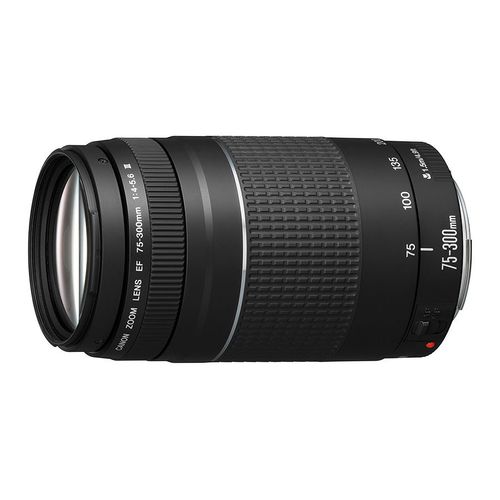Objectif Canon EF 75-300 mm f/4-5,6 III