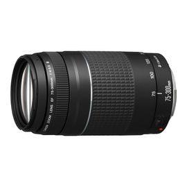 Objectif Canon EF 75-300 mm f/4-5,6 III