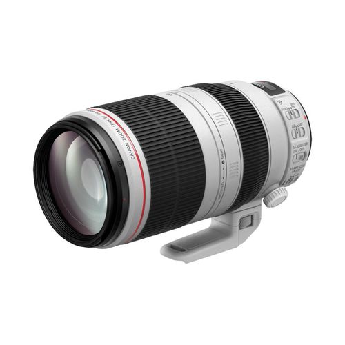 Objectif Canon EF 100-400 mm f/4,5-5,6L IS II USM