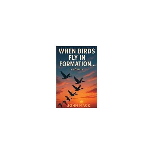 When Birds Fly In Formation Paperback Book By John Mack