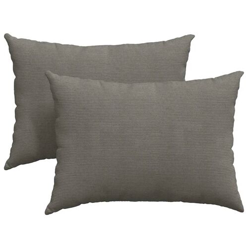 Vidaxl Coussins De Canapé 2 Pcs Gris Clair 70 X 50 Cm