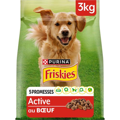 Croquettes Active Au Boeuf Pour Chien