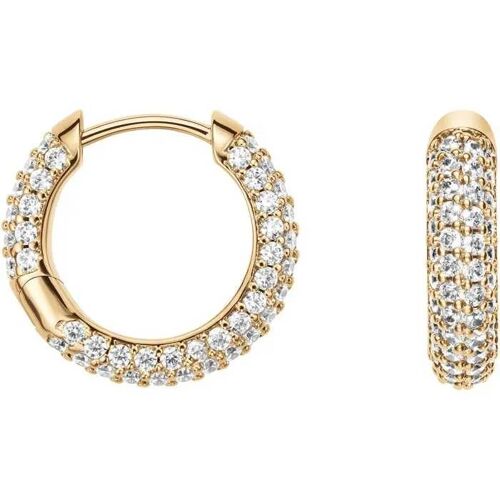 Boucles D'oreille - Or - Daniel Wellington - Dw00400642