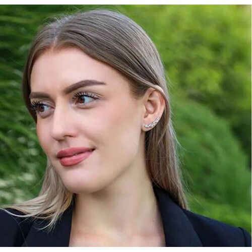 Charmantes Boucles D'oreilles Longitudinales Avec Zircon Cubique Clair Agup3299w