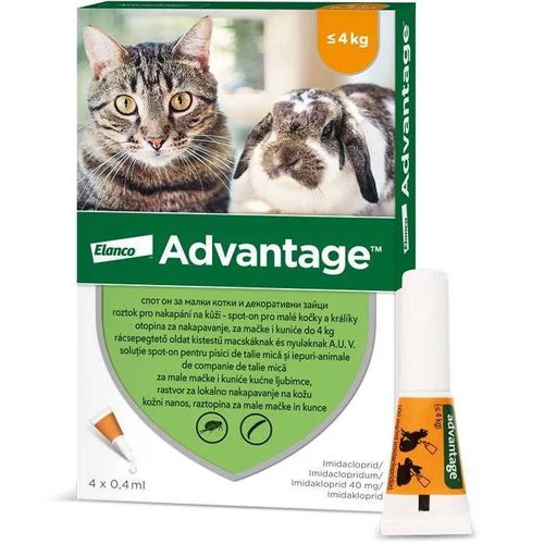 Advantage 4 × 0,4 Ml - Spot-On Pour Petits Chats Et Lapins