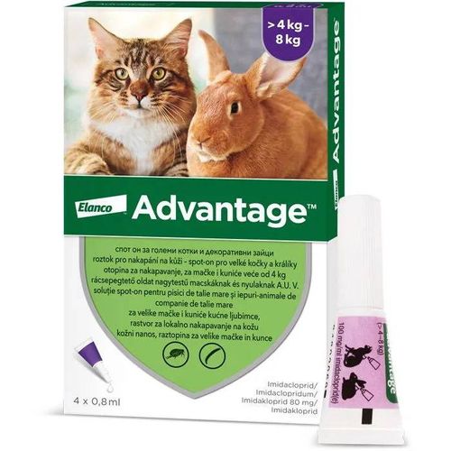 Advantage 4 × 0,8 Ml - Spot-On Pour Les Grands Chats Et Les Lapins