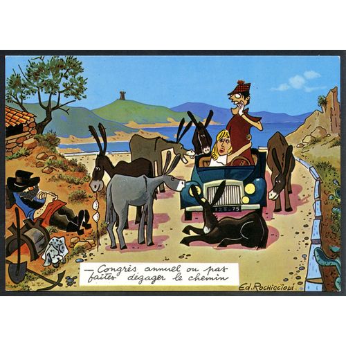 Carte Postale La Corse Humoristique , Congrès Annuel Ou Pas Faites Dégager Le Chemin