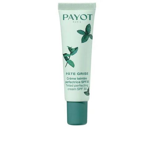 Pâte Grise Crème Teintée Perfectrice Spf30 Ed. Lim. 20 Ml Multicolore