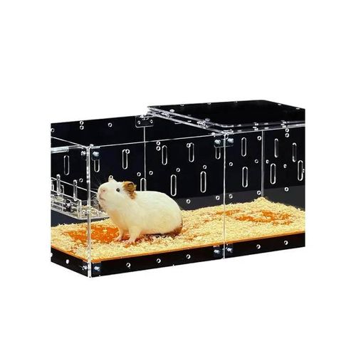 Cage Acrylique Pour Rongeurs 61x30x24 Cm, Transparente, Modulable, Facile À Nettoyer, Fond Jaune, Sécurité Et Confort Optimal
