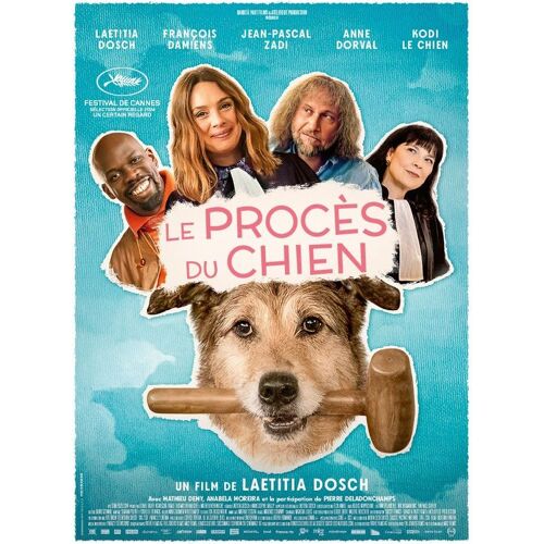 Le Procès Du Chien - Véritable Affiche De Cinéma Pliée - Format 40x60 Cm - De Et Avec Laetitia Dosch,François Damiens, Jean-Pascal Zadi - 2024