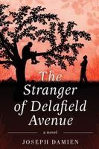The Stranger Of Delafield Avenue Paperback Book By Joseph Damien