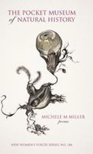 The Pocket Museum Of Natural History Paperback Book By Michele M Miller