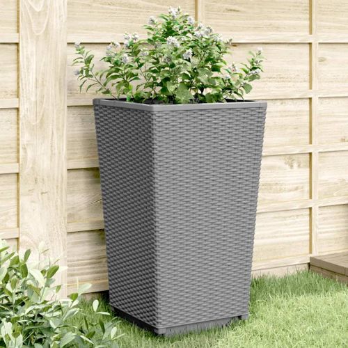 Prolenta Premium - Jardinières 4 Pcs Gris Clair 32,5x32,5x57 Cm Polypropylène