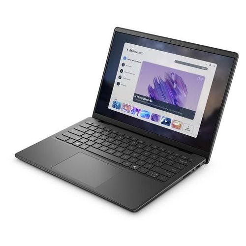 Dell Pro 14 Essential PV14255 - 14" Ryzen 5 220 16 Go RAM 512 Go SSD Noir