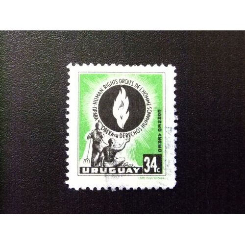 109 Uruguay 1958 / X Aniversario De Los Derechos Del Hombre / Yvert Pa 166 Fu