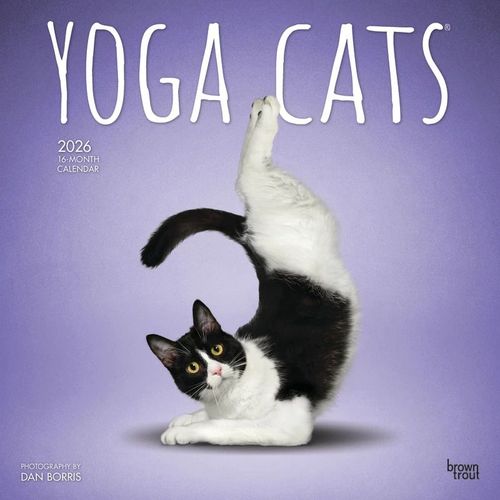 Calendrier Le Yoga Des Chats 2026