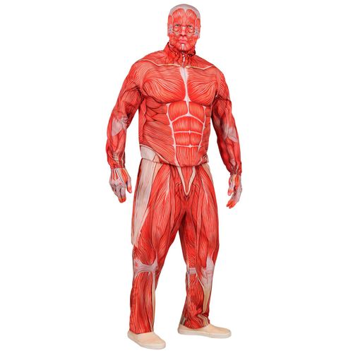 Déguisement Intégral Corps Humain Anatomique Adulte - Taille: Xl