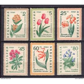 Bulgarie 1960 Serie Les Fleurs Serie Complete Neuf** Yvert N° 1018-23