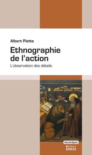 Ethnographie De L'action