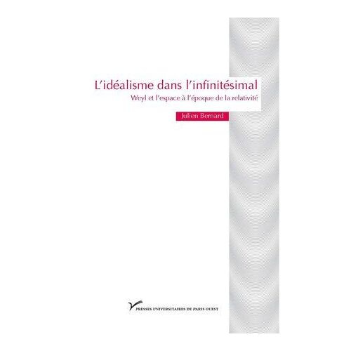 L'idéalisme Dans L'infinitésimal