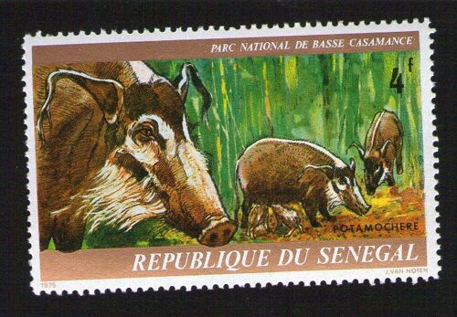 Timbre Neuf Avec Gomme D'origine Stamp With Fresh Gum Potamochere 4f Republique Du Senegal 1975