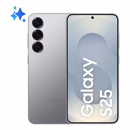 Samsung Galaxy S25 256 Go Gris