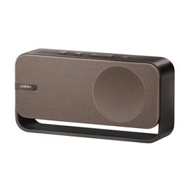 Bose SoundLink Home, Enceinte Bluetooth 5.3, Bois