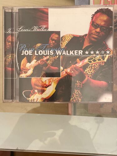 Joe Louis Walker 