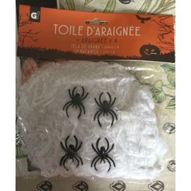 Toile blanche avec 4 araignées