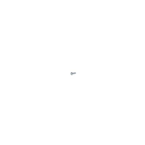 Vis à Tête Bombée Torx M3X8 pour ponceuse excentrique GEX34-150 et autres modèles BOSCH - 2603435089