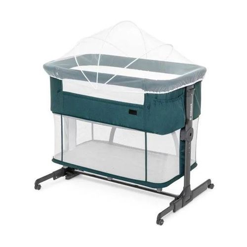 Kidnort Seashell Zelená