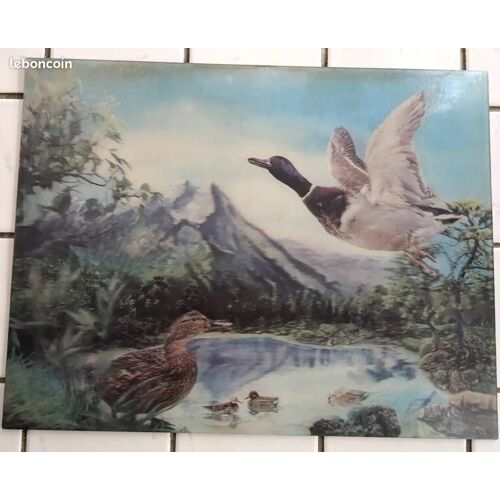Photo Vintage Holographique / 3d - Canards