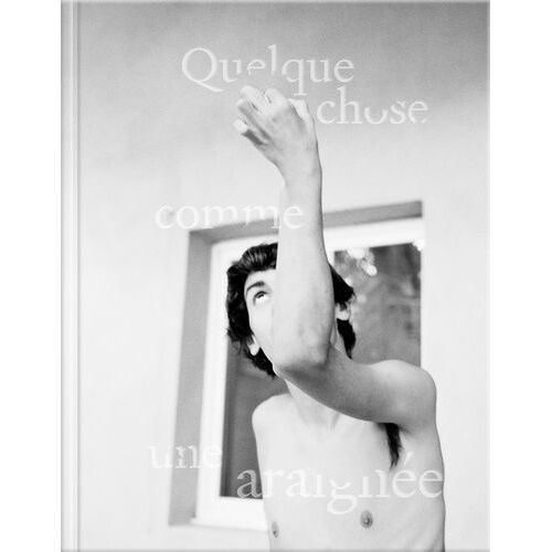 Quelque Chose Comme Une Araignée