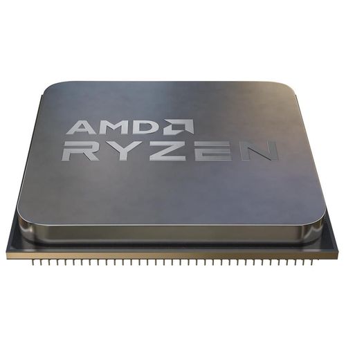 AMD Ryzen 5 5600G processeur 3,9 GHz 16 Mo L2 & L3 Plateau