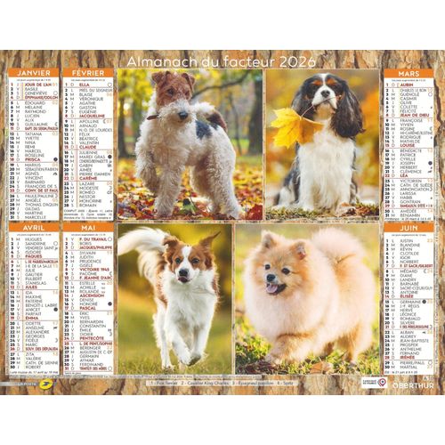 Calendrier Du Facteur 2026 - Almanach Mural Chiens Petites Races