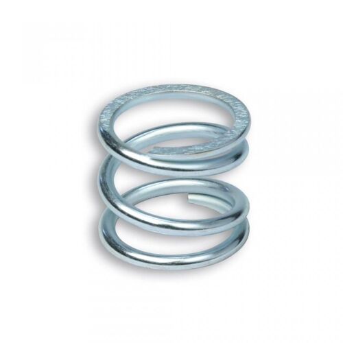 Ressort D Embrayage Malossi Pour Scooter Piaggio 125 Vespa Pk 29 3750 Neuf