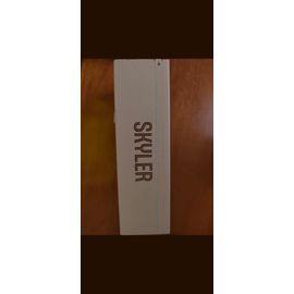 Lunette Ray-Ban Meta Skyler Meta