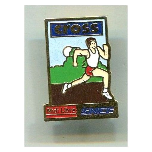Vieux Pin's SNCF De Chambéry - Édition 1992 - Surveillance Générale - Collection Transport Ferroviaire