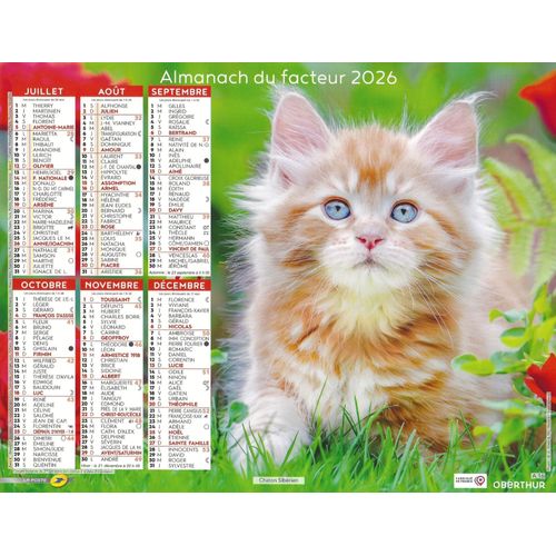 Calendrier Du Facteur 2026 - Almanach Mural Chatons Sibériens