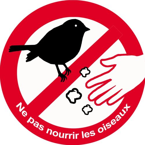 Ne Pas Nourrir Les Oiseaux - 20cm - Sticker/Autocollant