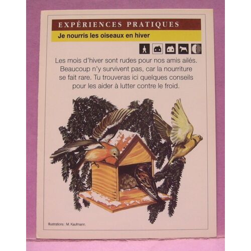 Fiche Double - " Expériences Pratiques / Je Nourris Les Oiseaux En Hiver "