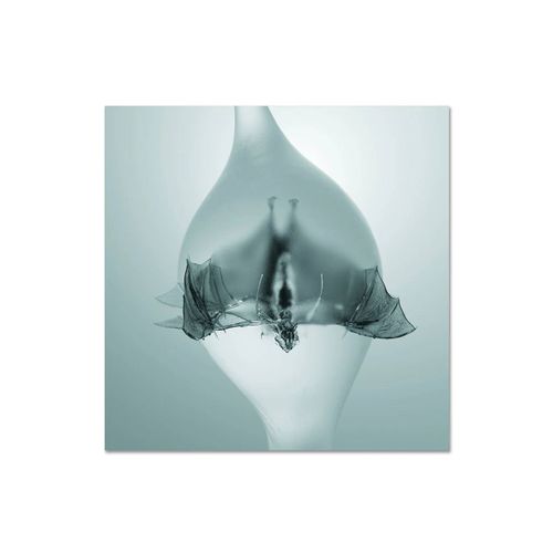 Unprocessed - Angel Ltd. - Digi Cd