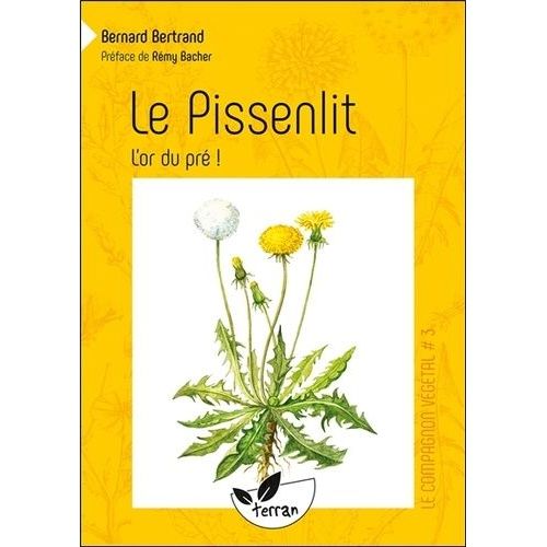 Le Pissenlit - L'or Du Pré !