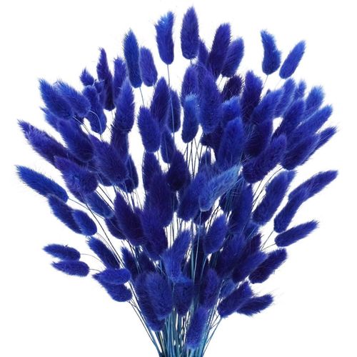 Lagurus Ovatus Fleurs Séchées de 17 Pouces Naturel Bunny Queues, 120 Pcs, Séchées Bleu Herbe de Pampa Décor de Ferme de Mariage
