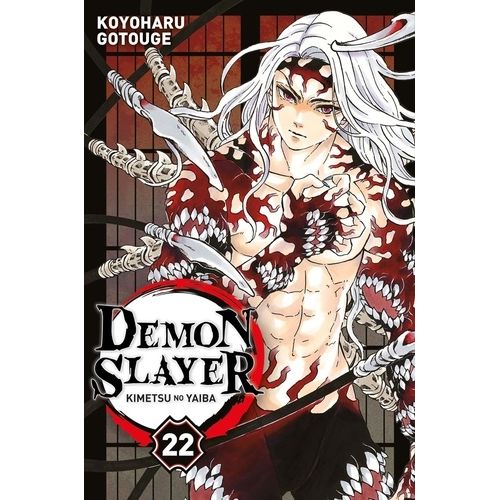 Demon Slayer - Tome 22
