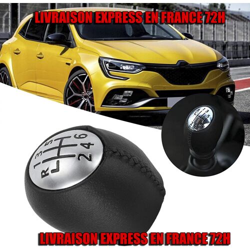 Pommeau Levier De Vitesse Pour Renault Laguna 2 Clio 3 Megane Scenic 6 Vitesses