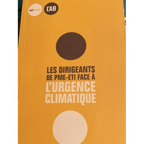 Les Dirigeants De Pme-Eti Face À L’Urgence Climatique,