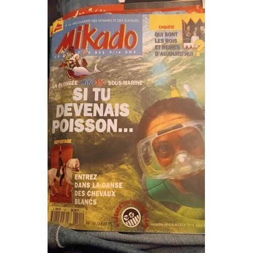 Mikado 141