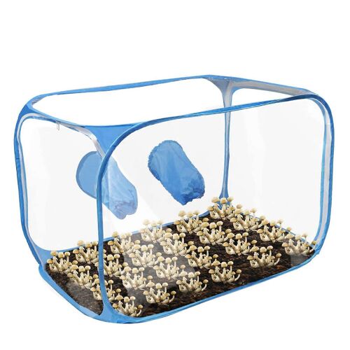 Sac de culture de champignons Still Air Box pliable et transparent, serre ventilee ideale pour les appartements urbains (bleu).